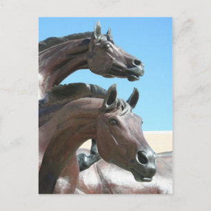 Paarden Briefkaart