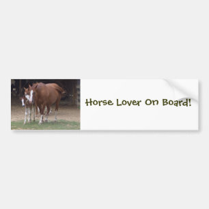 Paarden bumpersticker