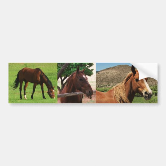 Paarden Bumpersticker (Voorkant)