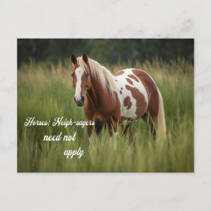 Paarden Buren hoeven niet toe te passen Pinto Briefkaart