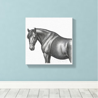 Paarden Collectie Canvas Print