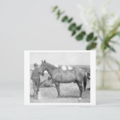 Paarden "Comanche" de enige overlevende van de Cus Briefkaart (Staand voorkant)