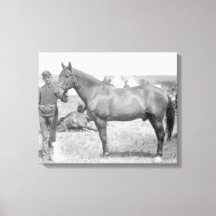 Paarden "Comanche" de enige overlevende van de Cus Canvas Afdruk