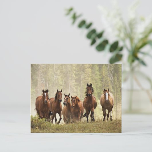 Paarden cresting kleine heuvel tijdens afronding briefkaart (Staand voorkant)