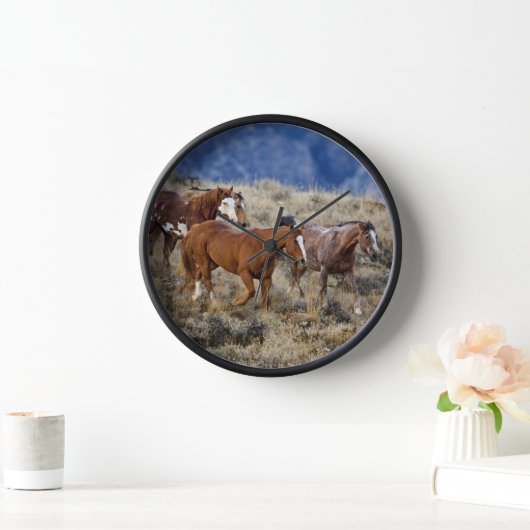 Paarden die door de heuvels zwerven (Huis)