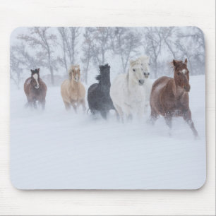 Paarden die door de sneeuw rennen muismat