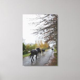 Paarden die door Oak Street lopen in de regen, Gre Canvas Afdruk