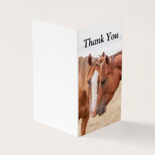Paarden die elkaar in een wei aaien kaart