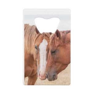 Paarden die elkaar in een wei aaien kredietkaart flessenopener