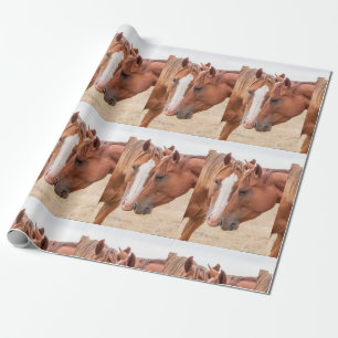 Paarden die elkaar in een weiland aaien cadeaupapier