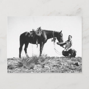 Paarden die eten uit het pet van een cowboy. briefkaart