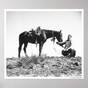 Paarden die eten uit het pet van een cowboy. poster