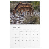 Paarden die gratis kalender zijn (Feb 2027)