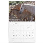 Paarden die gratis kalender zijn (Jan 2027)
