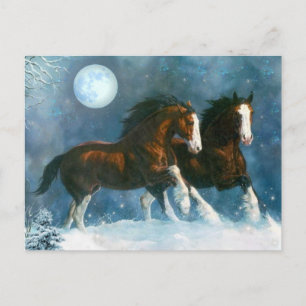 Paarden die in de sneeuw lopen briefkaart