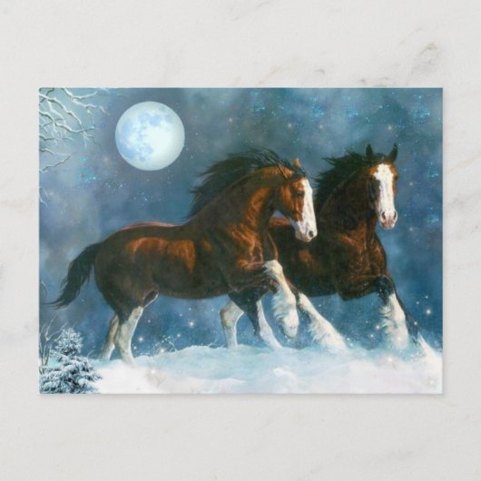 Paarden die in de sneeuw lopen briefkaart (Voorkant)