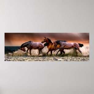 Paarden die in het Surf lopen Poster