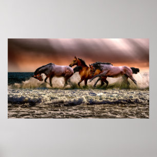 Paarden die in het Surf lopen Poster
