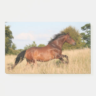 Paarden die in het veld lopen post-it® notes