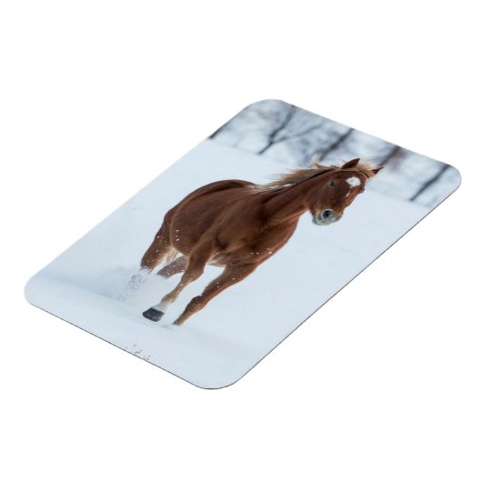 Paarden die in sneeuw lopen magneet (Linkerzijde)
