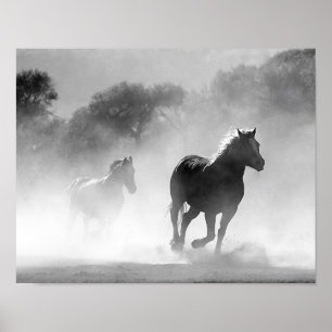 Paarden die lopen in de mist zwart-wit poster