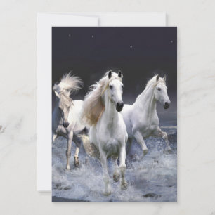 Paarden die lopen met kussens save the date