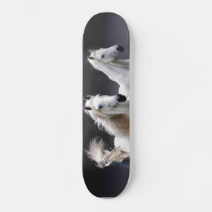 Paarden die lopen met kussens skateboard