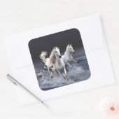 Paarden die lopen met kussens vierkante sticker (Envelop)