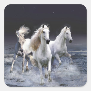 Paarden die lopen met kussens vierkante sticker