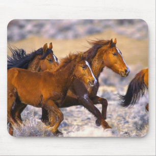 Paarden die lopen muismat