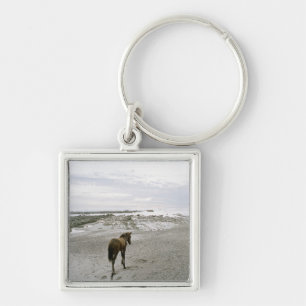 Paarden die op het strand lopen sleutelhanger