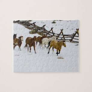 Paarden die op sneeuw lopen legpuzzel