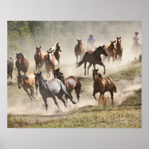 Paarden die rennen tijdens round-up, Montana Poster