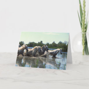 Paarden die water kruisen kaart