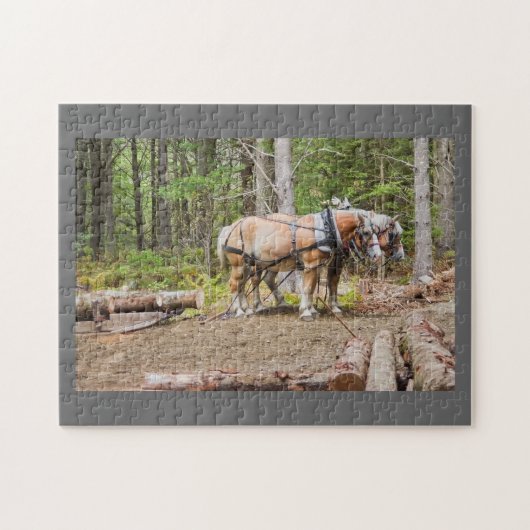 Paarden die zich in Bossen van Maine bevinden Legpuzzel (Horizontaal)