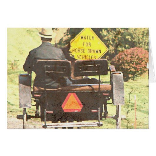 Paarden Drawn Vechicles, Amish Horse and Buggy (Voorkant Horizontaal)