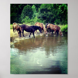 Paarden Drink van Pond Poster