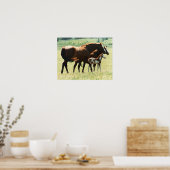 Paarden en Afbeelding van runderen Poster (Keuken)