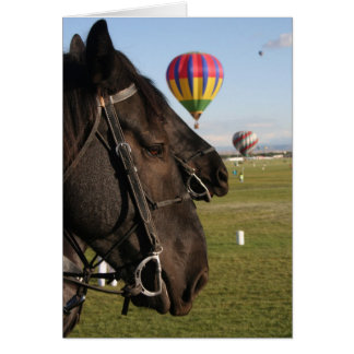 Paarden en ballonnen
