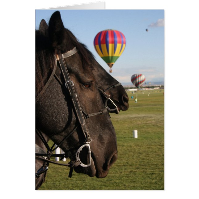 Paarden en ballonnen (Voorkant)