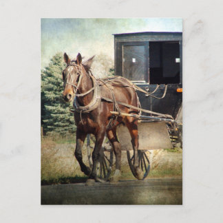 Paarden en buggy in Rural Iowa Briefkaart