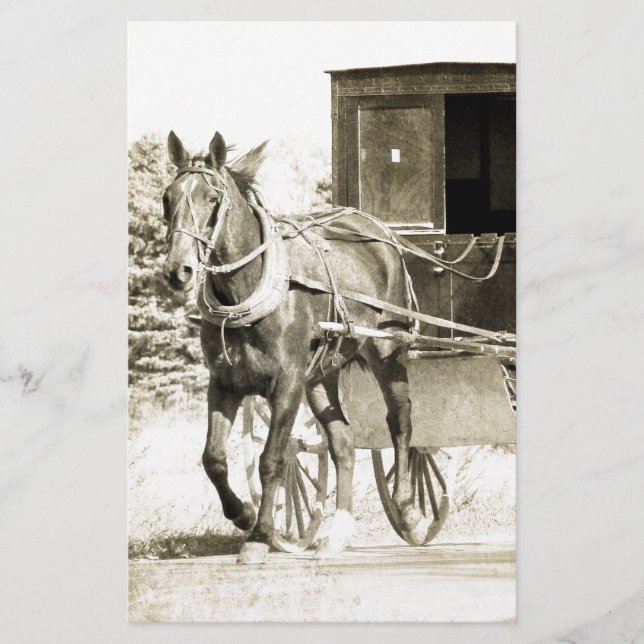 Paarden en Buggy Sepia (Voorkant)