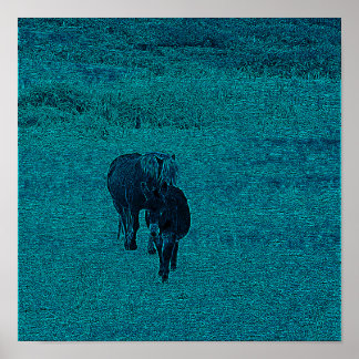 Paarden en Donkey Poster