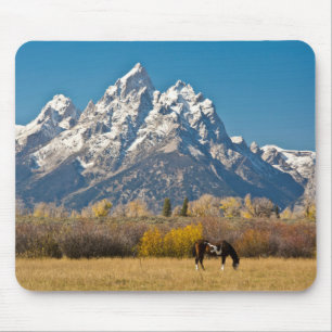 Paarden en Grand Tetons, machinehoofd Ranch Muismat