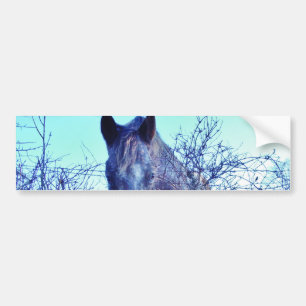 Paarden en hart bumpersticker