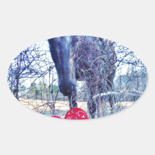 Paarden en hart ovale sticker