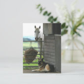 Paarden en honden briefkaart (Staand voorkant)