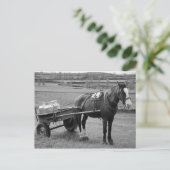 Paarden en karren briefkaart (Staand voorkant)