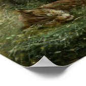 Paarden en kittens, 1890 poster (Hoek)