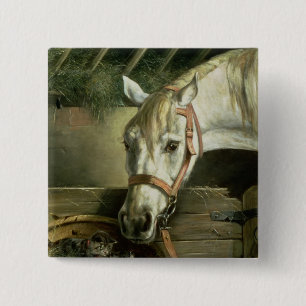 Paarden en kittens, 1890 vierkante button 5,1 cm